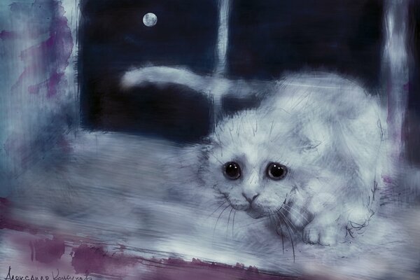 A kitten sitting on a windowsill against a dark sky