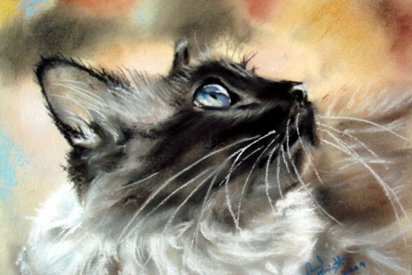 Pintura con un gato siamés
