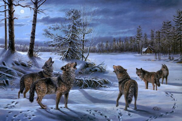 Wolf pack in the winter forest