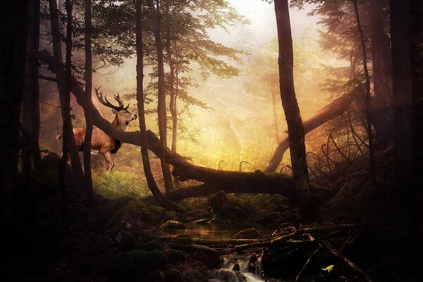 Forêt de fées. Arbres tombés et cerfs