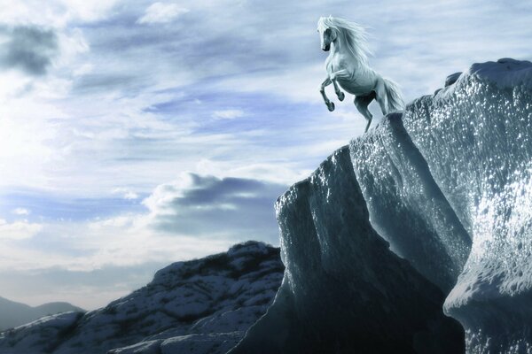 Su una roccia un cavallo bianco su uno sfondo di cielo