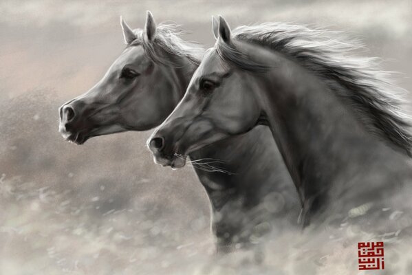 A pair of horses are in the holop