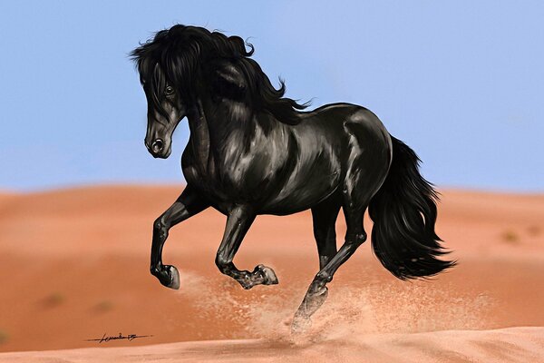 A black black horse gallops on a dune