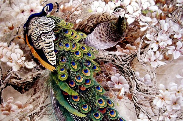 Pavos reales en una rama de un árbol en flor