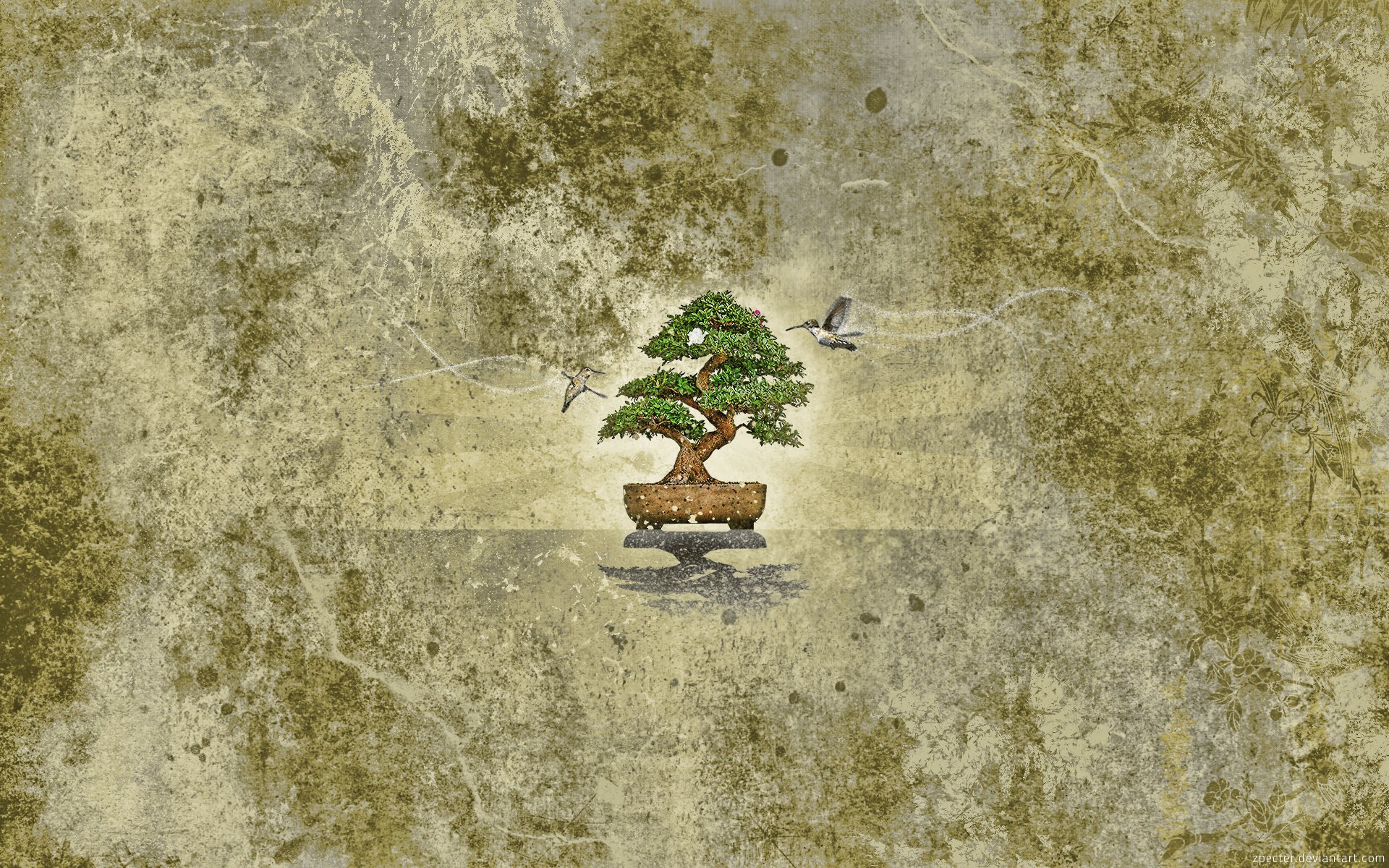 textur bonsai baum vögel kolibris