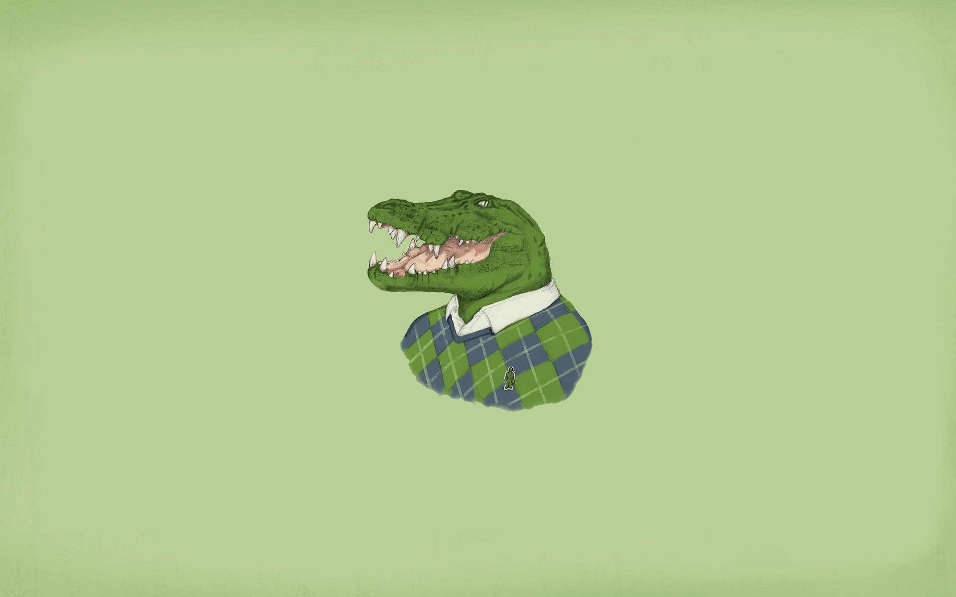 alligator krokodil pullover lacoste es ist im stoff blondiegbg