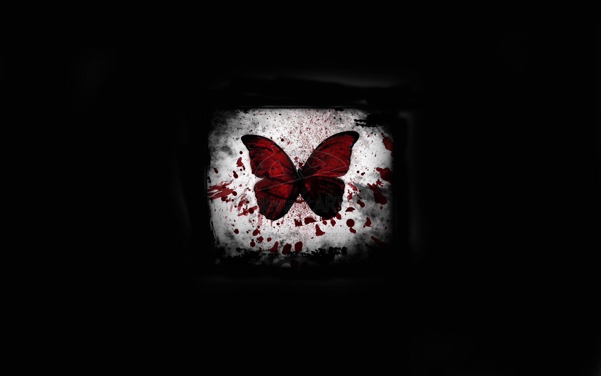 black background butterfly blood spot light