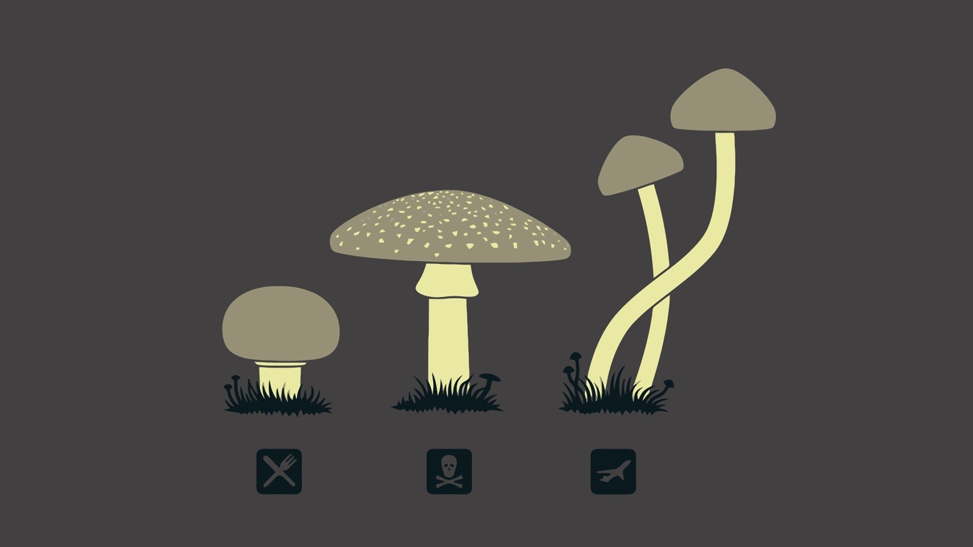 mushrooms icons hallucinogen