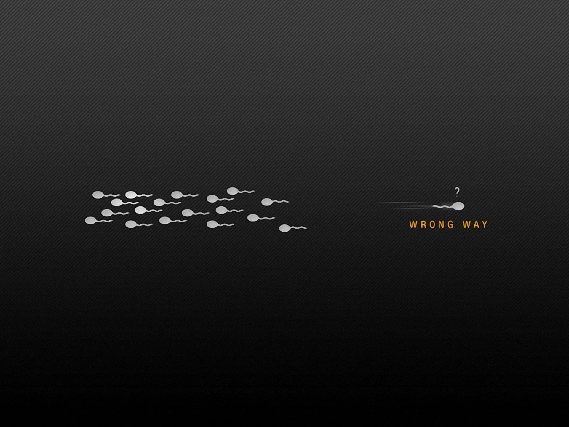 minimalism black background sperm inscription wrong way wallpaper