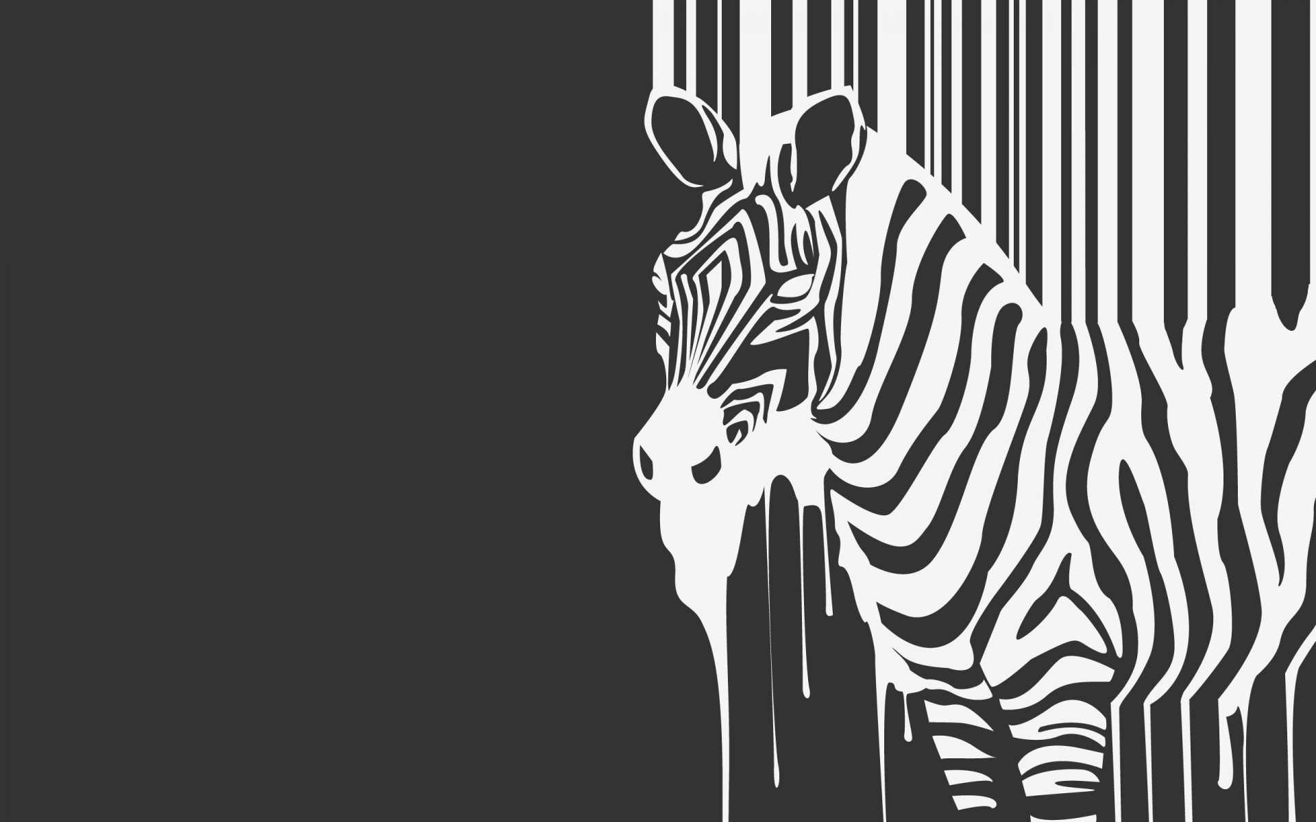 zebra b / w płynie bestia paski