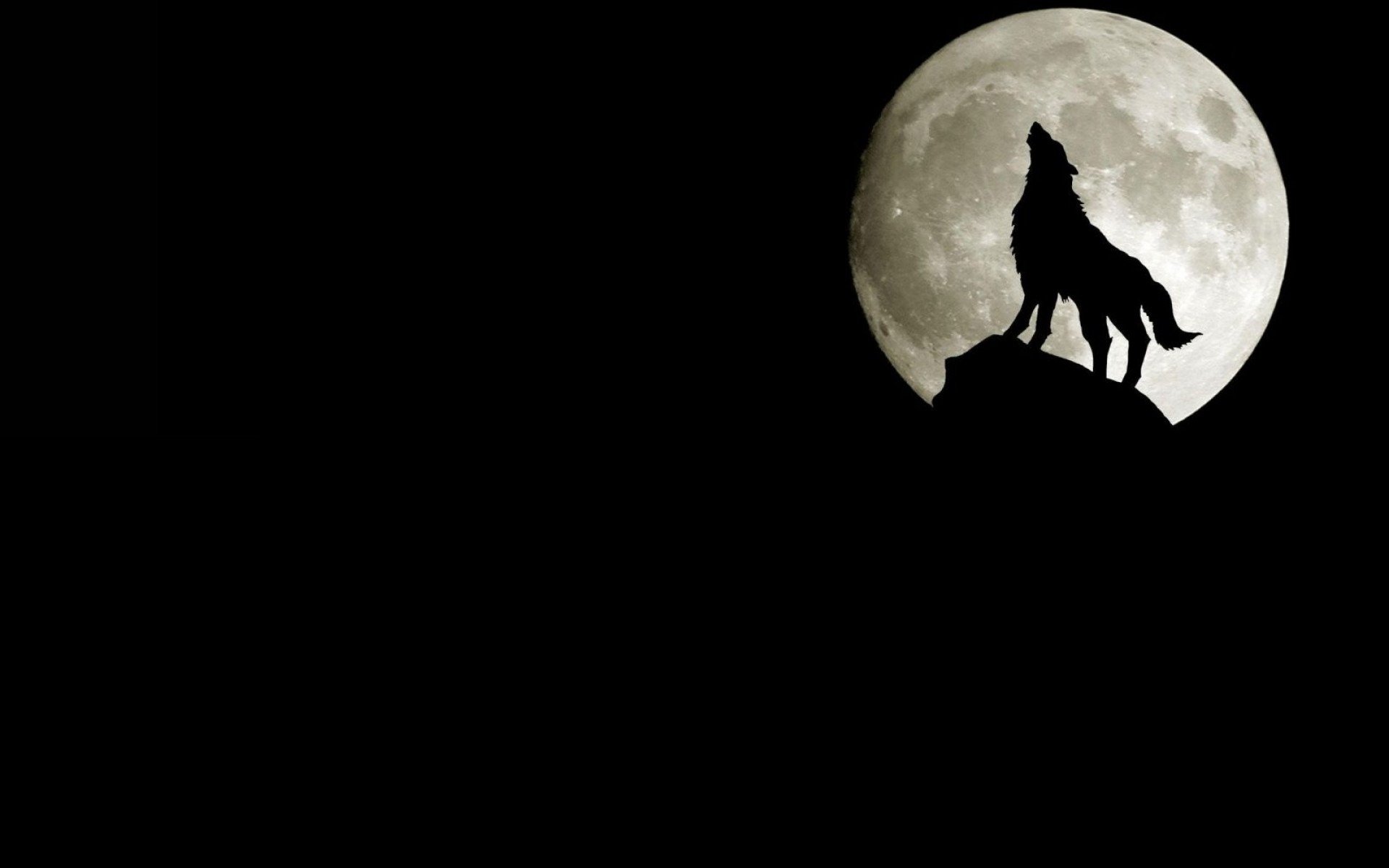 wolf moon rock silhouette howling