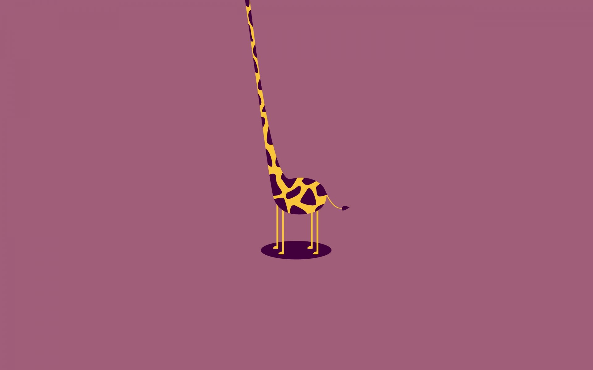 giraffe neck headless body