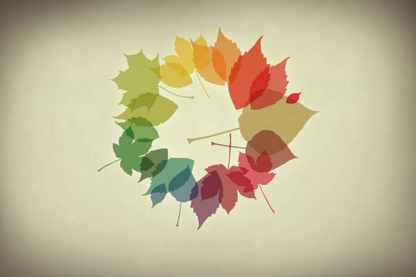 Multicolored autumn leaves of minimalism