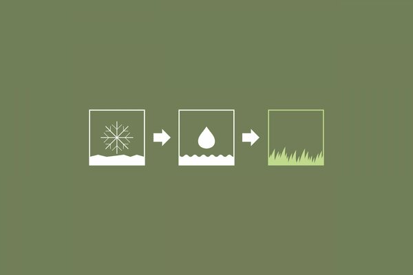 The image of the seasons in a square