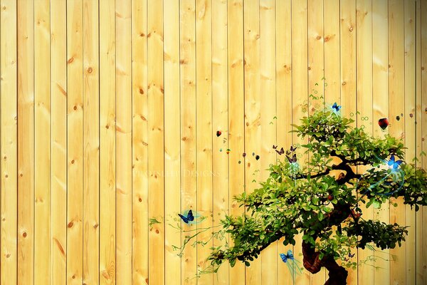 Bild eines verzweigten Baumes mit Schmetterlingen am Zaun