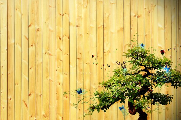 Image d un arbre ramifié avec des papillons sur une clôture
