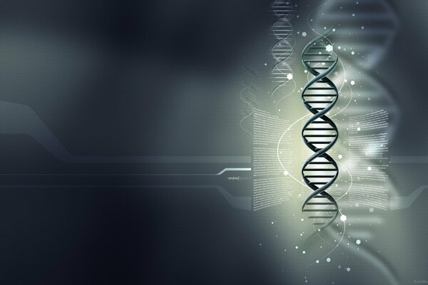Cadena de ADN sobre fondo gris