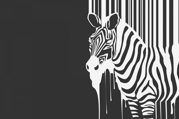 Minimalism, zebra with spreading white stripes on a black background