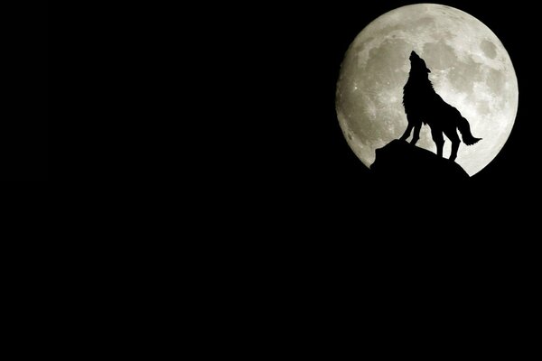 Night, moon, silhouette of a wolf, a wolf howling at the moon