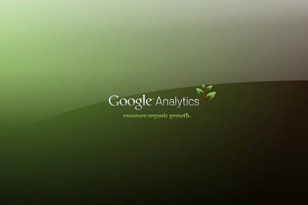 Зелёная надпись google analytics