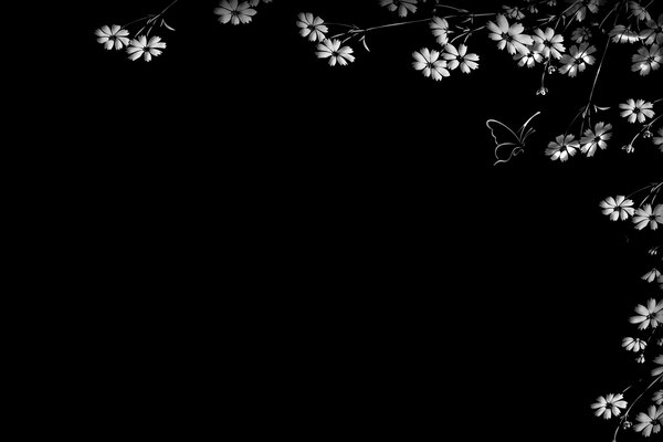 Blumen und Schmetterling auf schwarzem Hintergrund