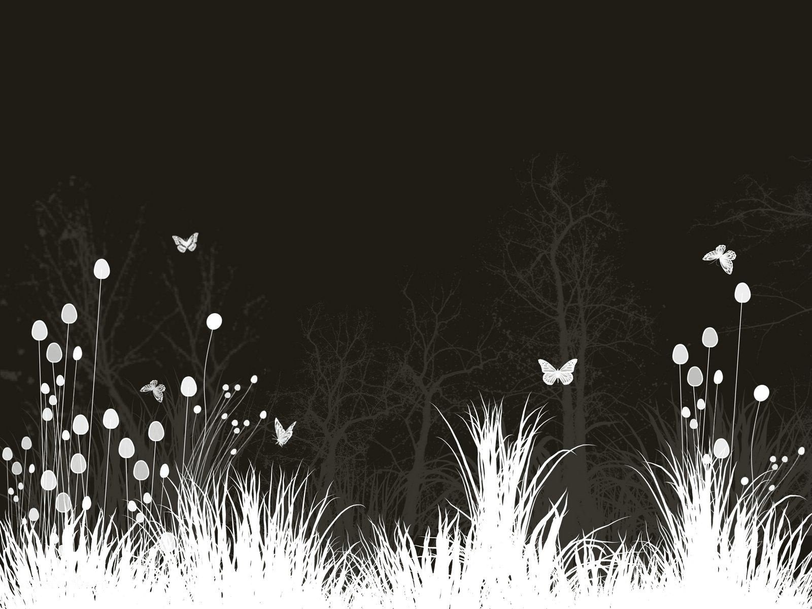 meadow flower butterfly night