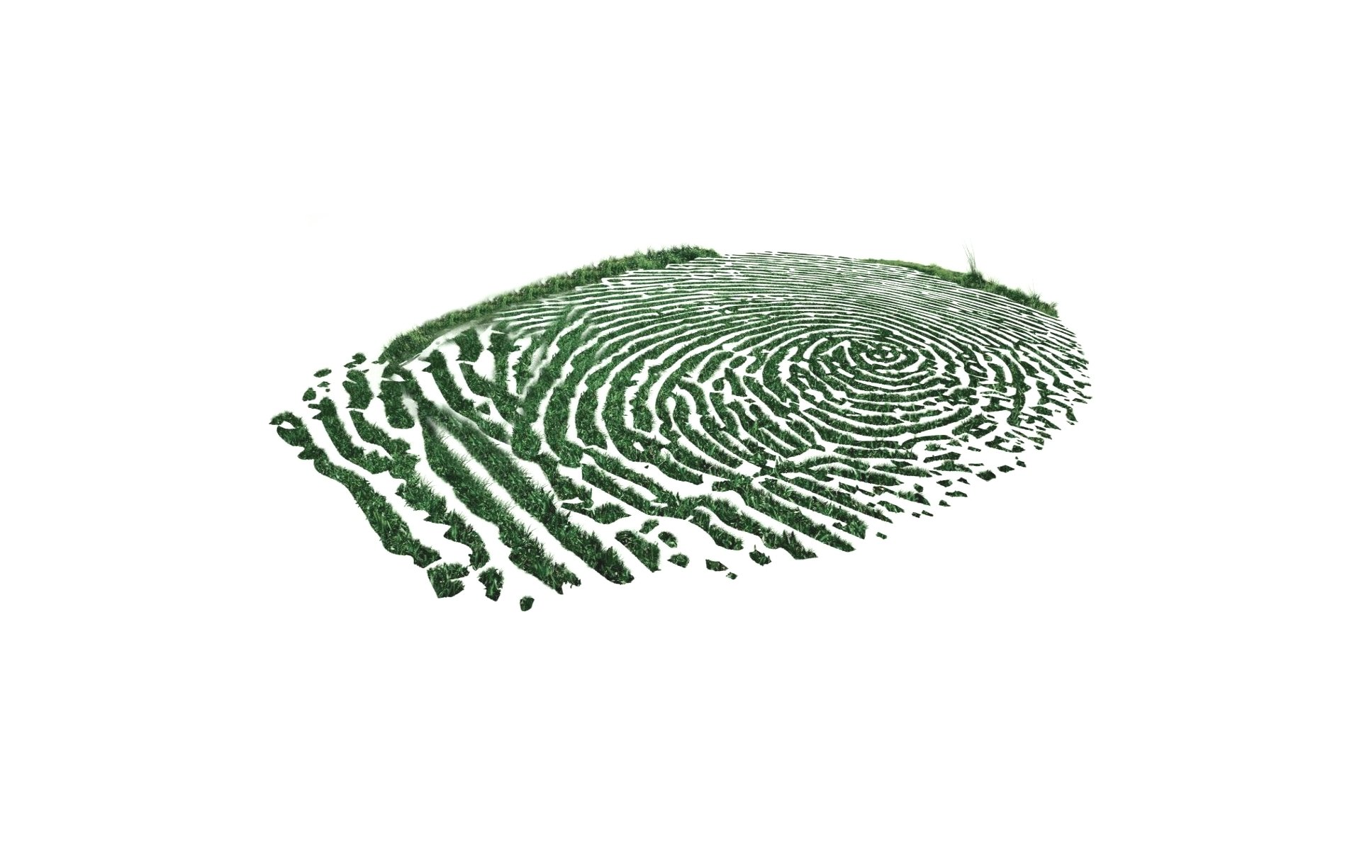 fingerabdruck fingerprint gras hintergrund