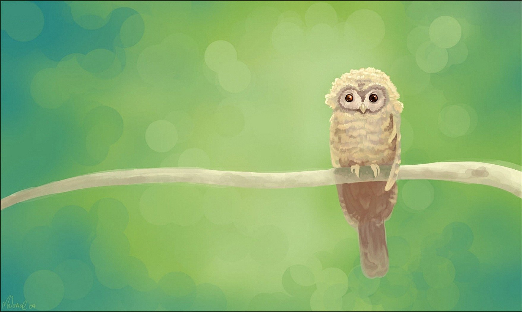 hibou branche vert