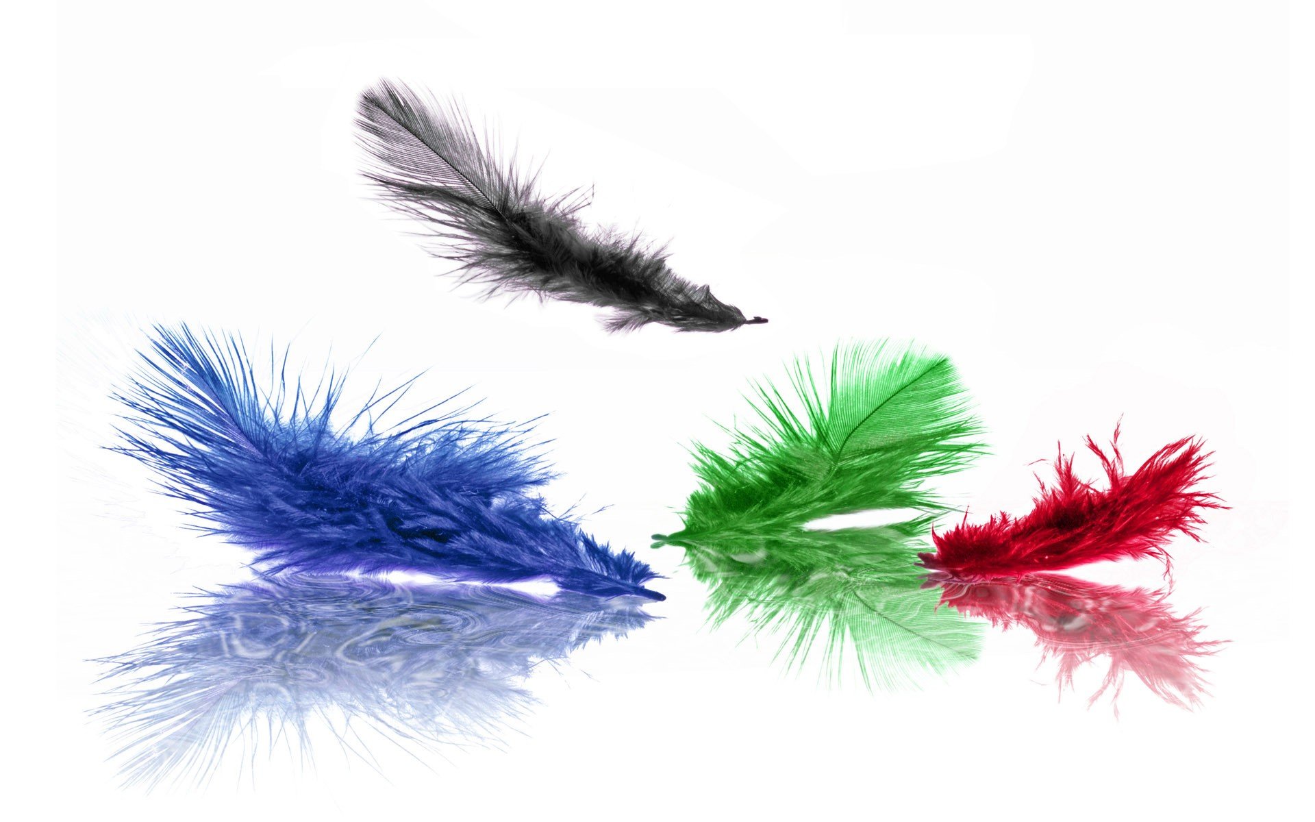 feathers flowers blue green red black