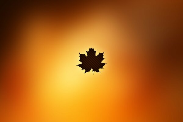 Image of autumn leaf on orange background