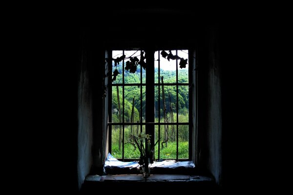 Blick vom Fenster des Hauses auf den Wald