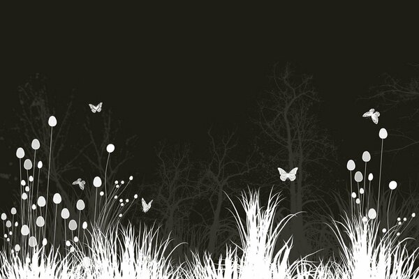 Night landscape meadow with flowers and butterflies