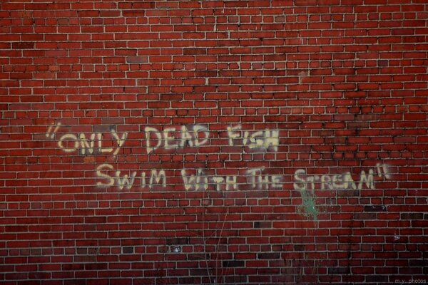 Inscription sur le mur de briques rouges sur les poissons morts