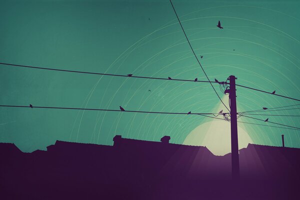 Drawing. Birds sitting on power lines