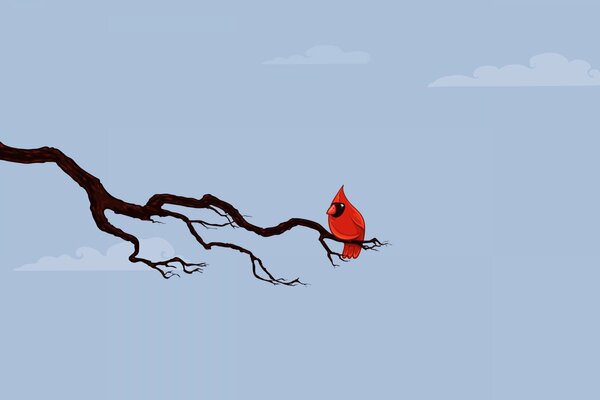 A small red bird with a tuft sits on a branch