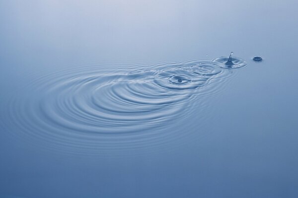 Circles on the water from a pebble