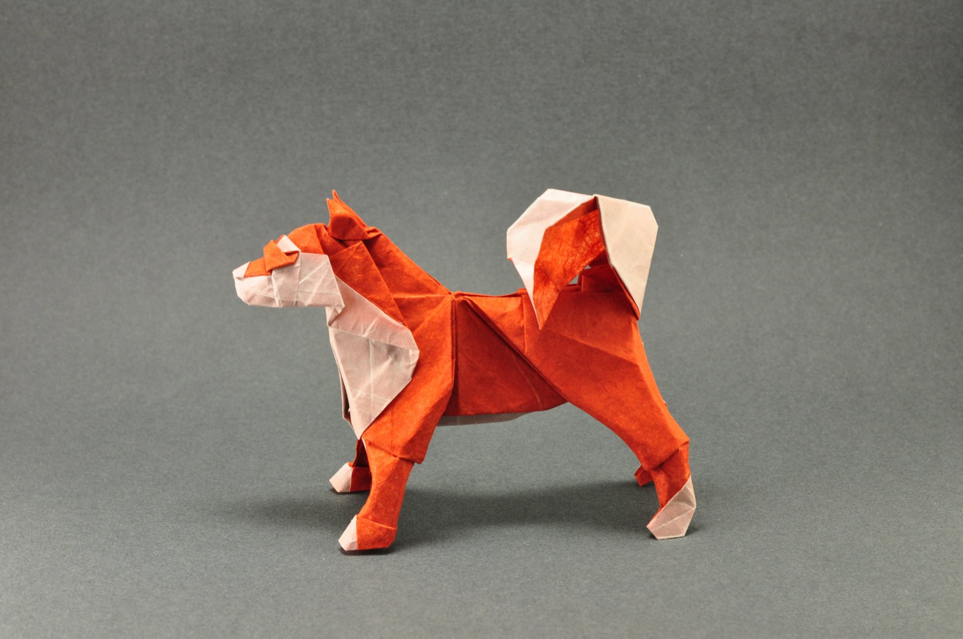 origami chien orange queue gris