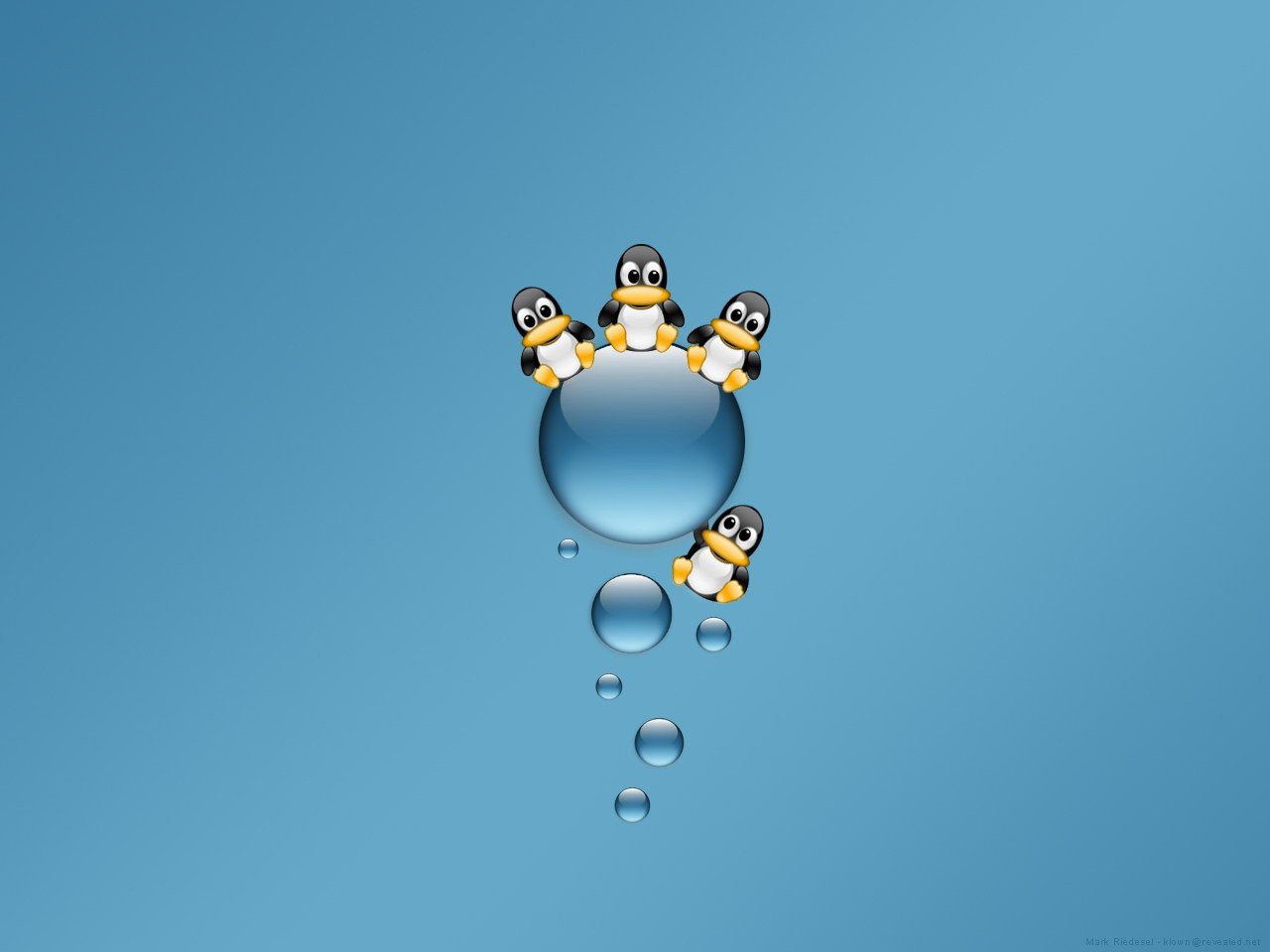 minimalismus blau pinguine