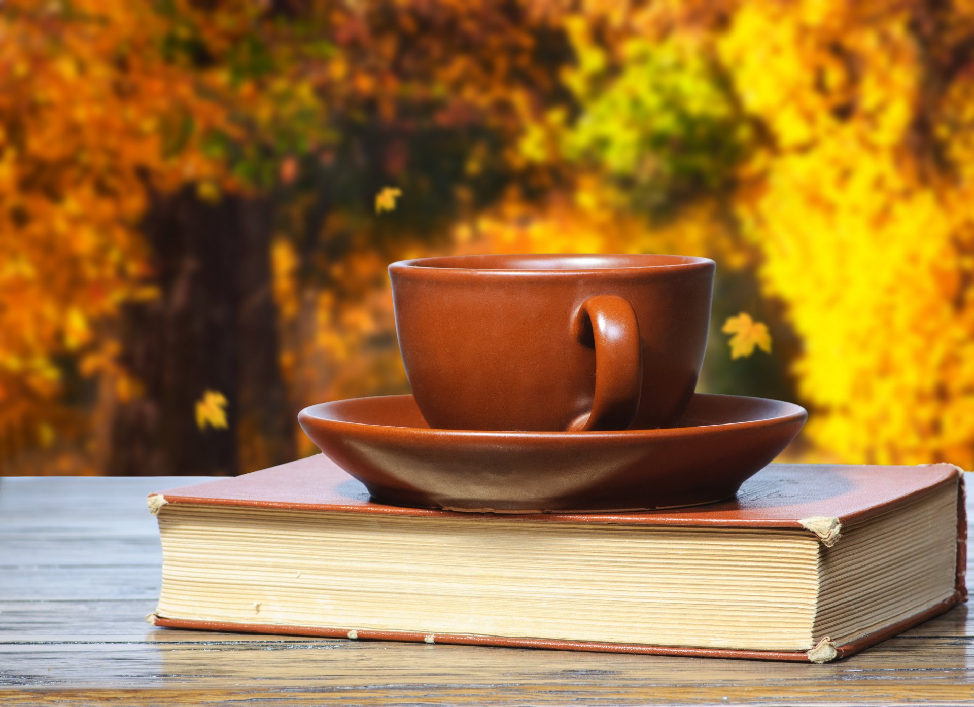 caffè tazza libri libro autunno