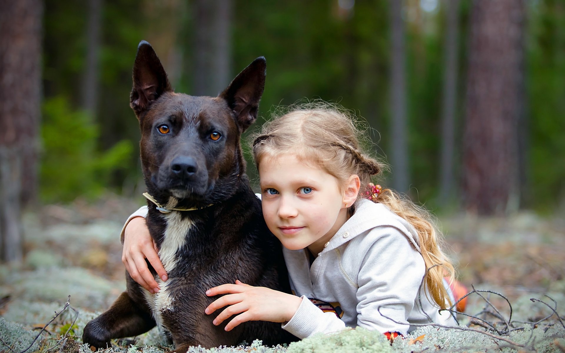 fille chien amis