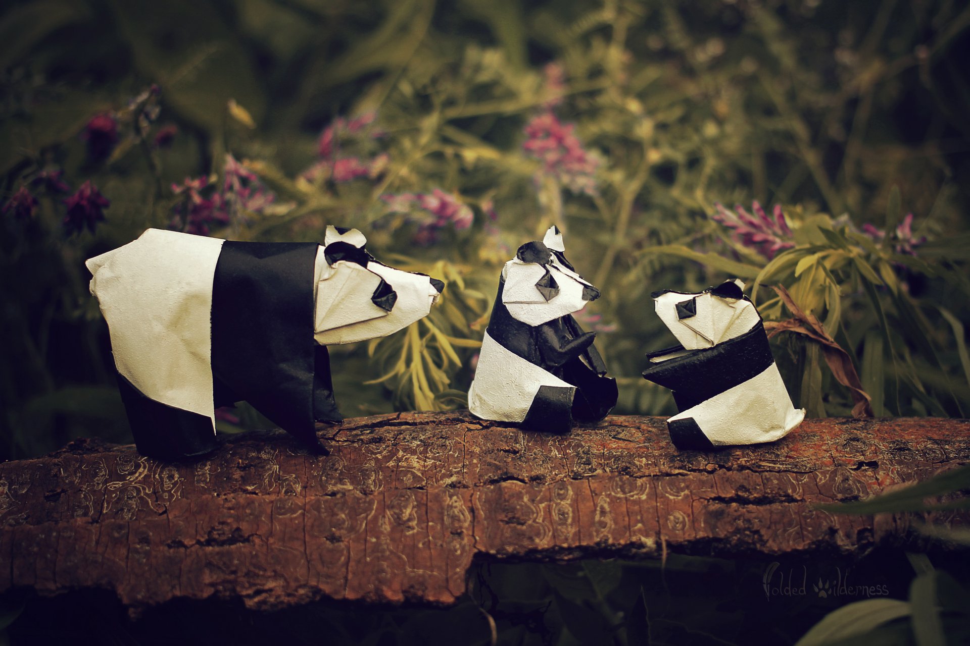 origami panda famille panda fleurs branche