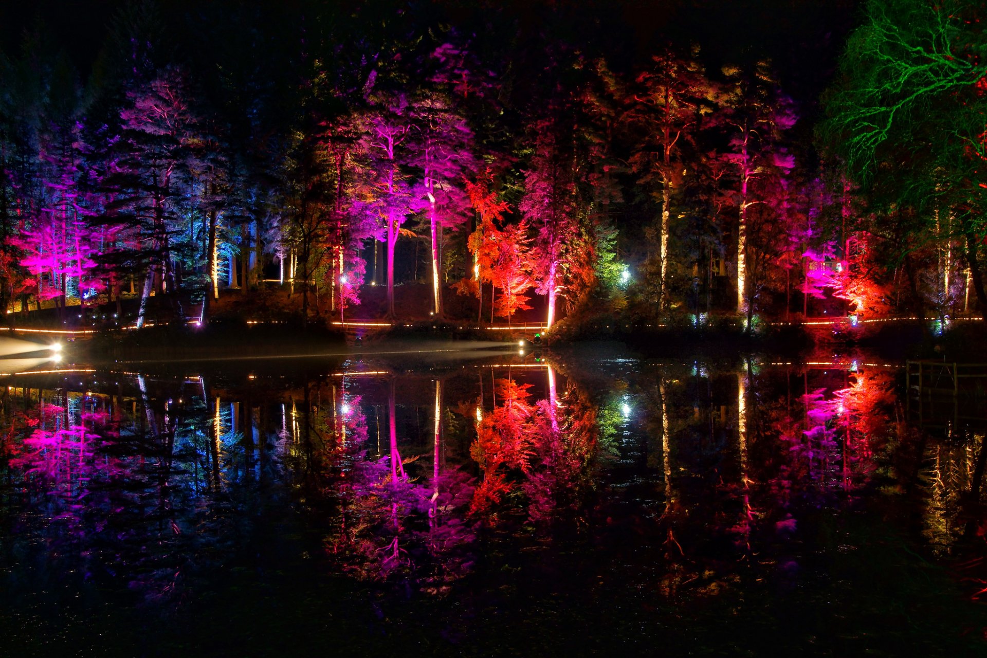 nuit parc étang lumières couleur arbres