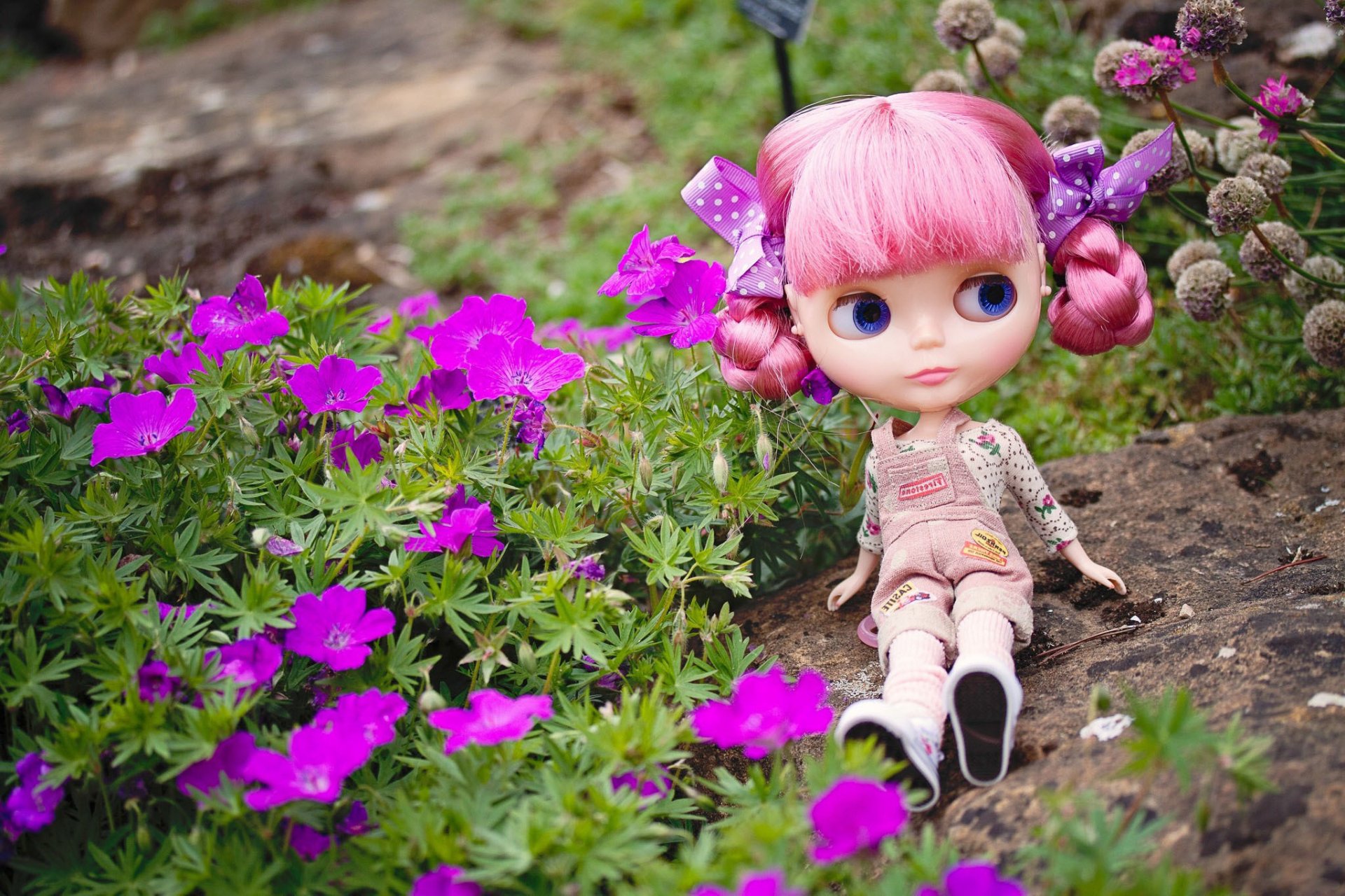 muñeca juguete pelo rosado mirada sentado piedra flores