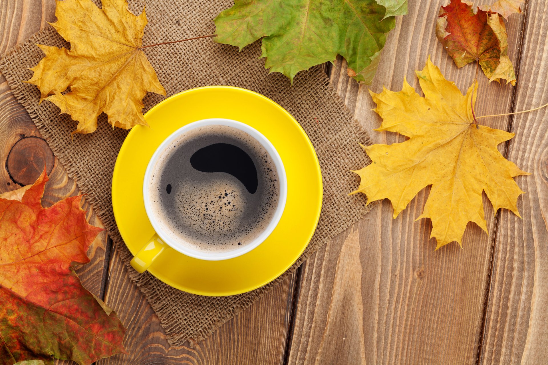 herbst herbst blätter ahorn tasse kaffee herbstlaub