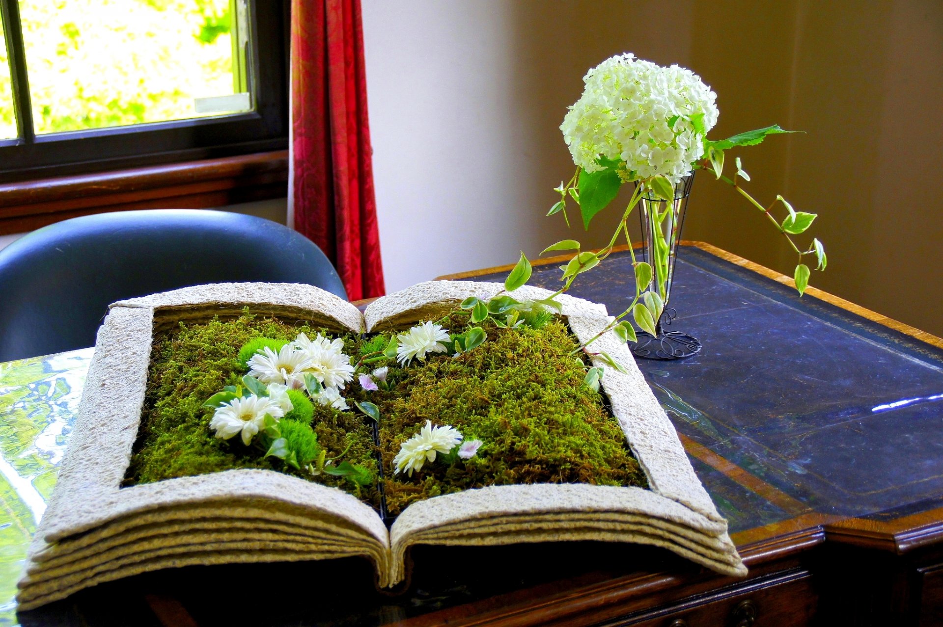 livre fleur plantes herbe table