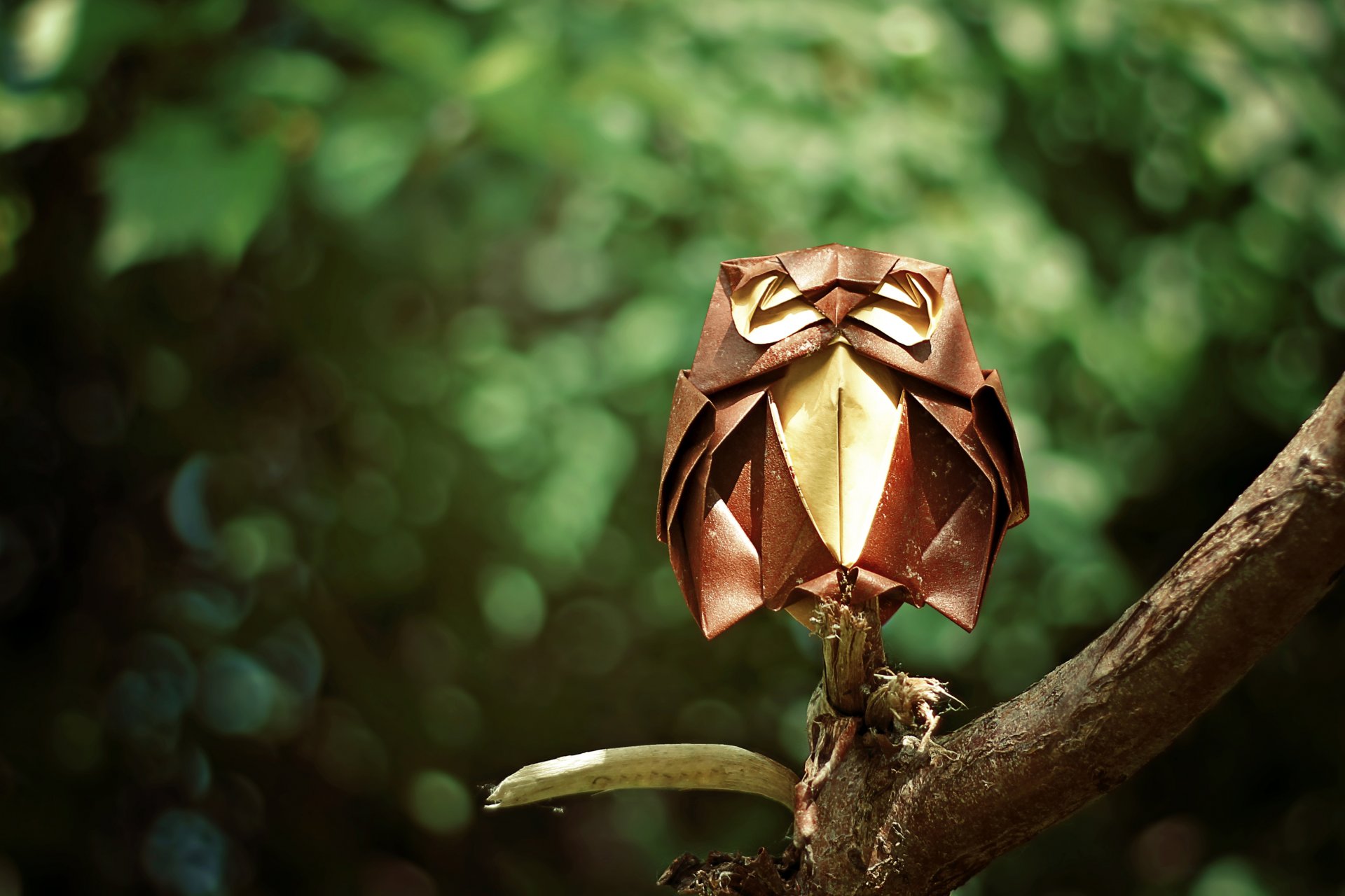 origami hibou branche forêt branche