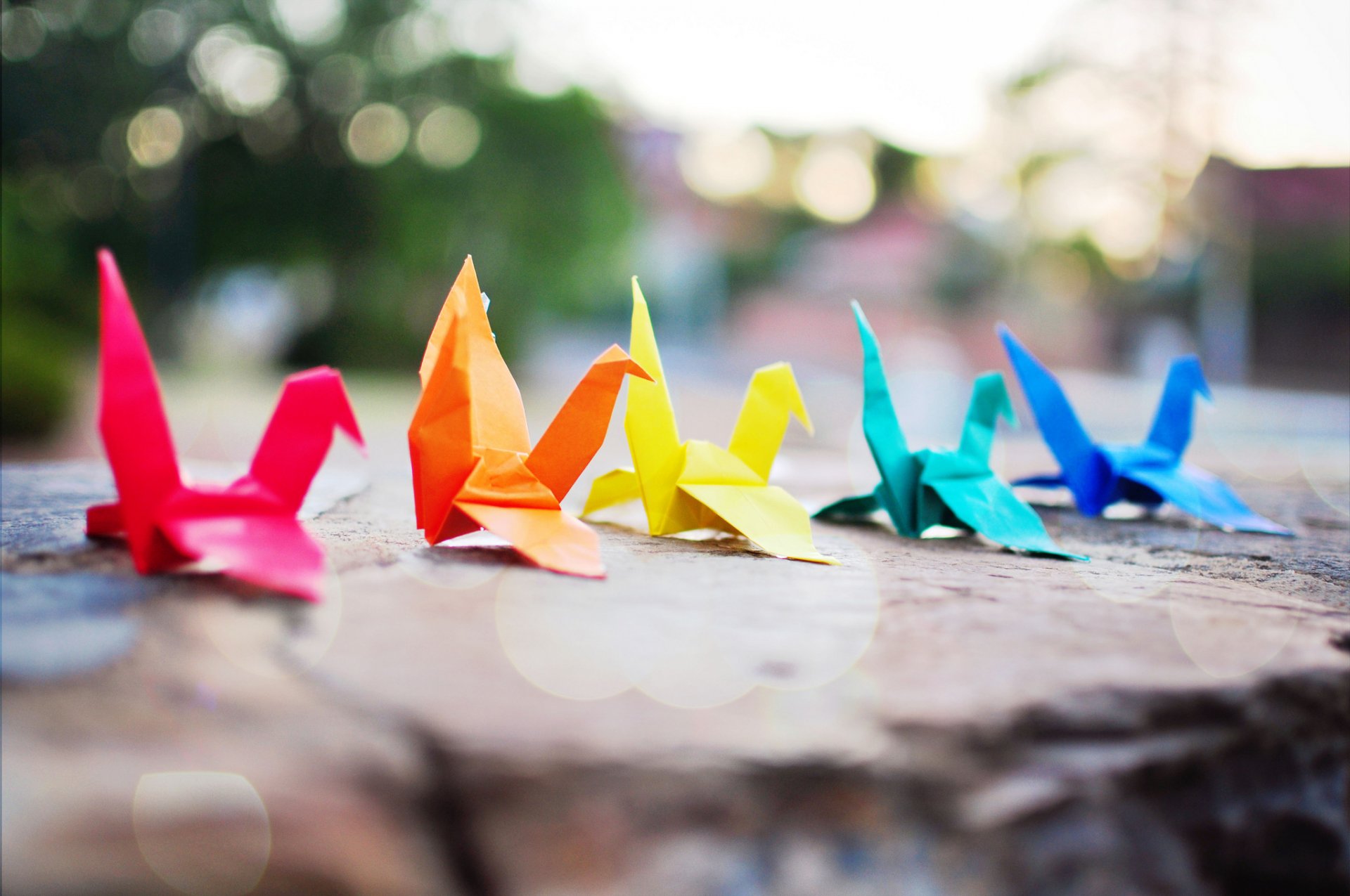 origami papel color aves