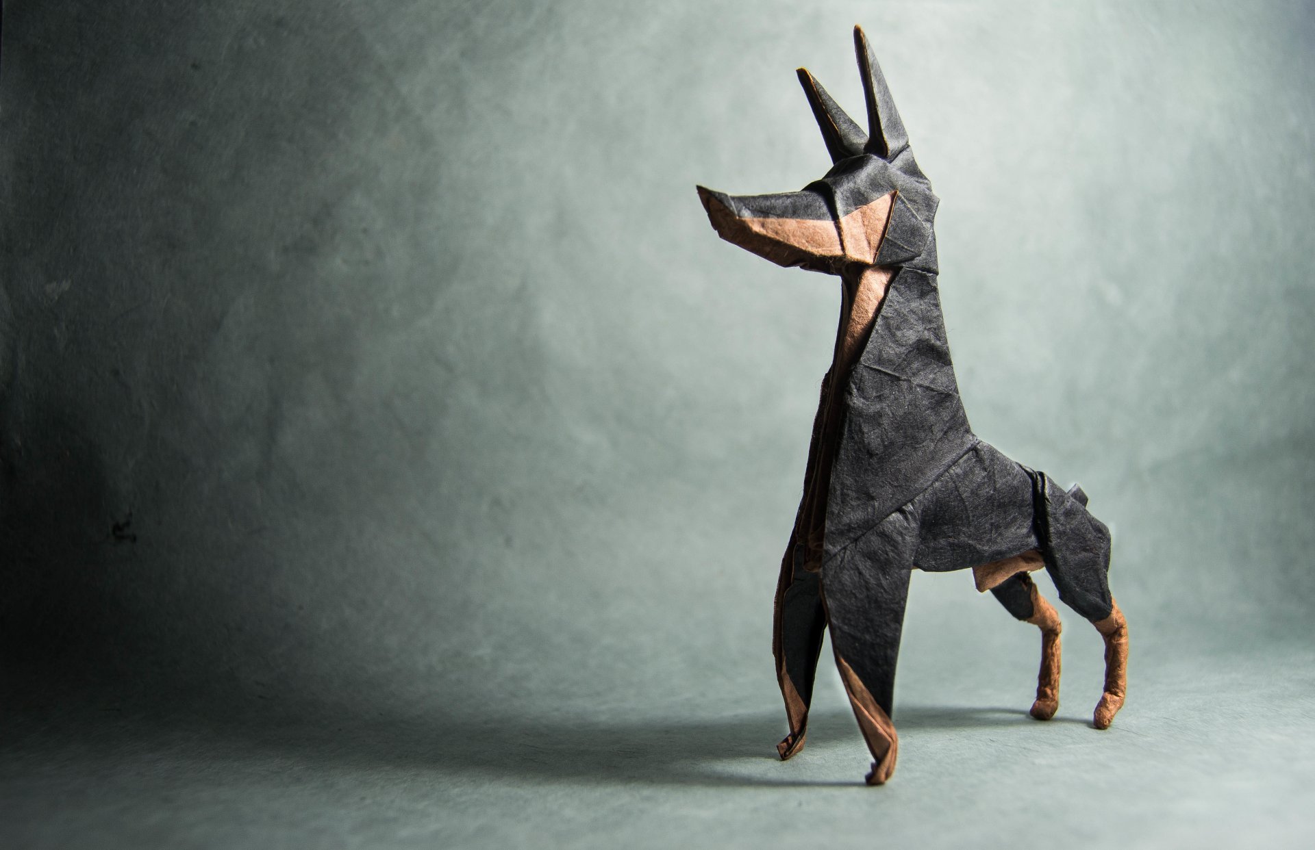 origami pies doberman cień szary