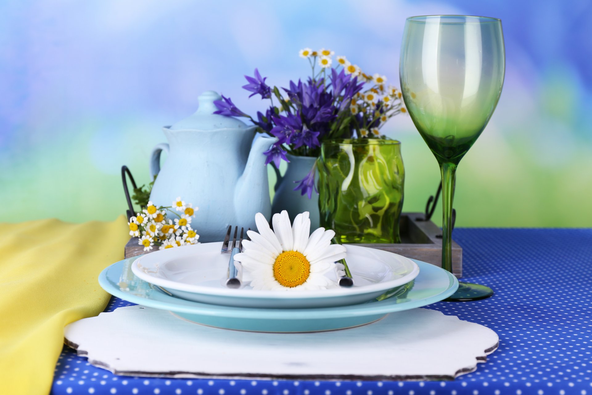 tableware flower cornflowers chamomile