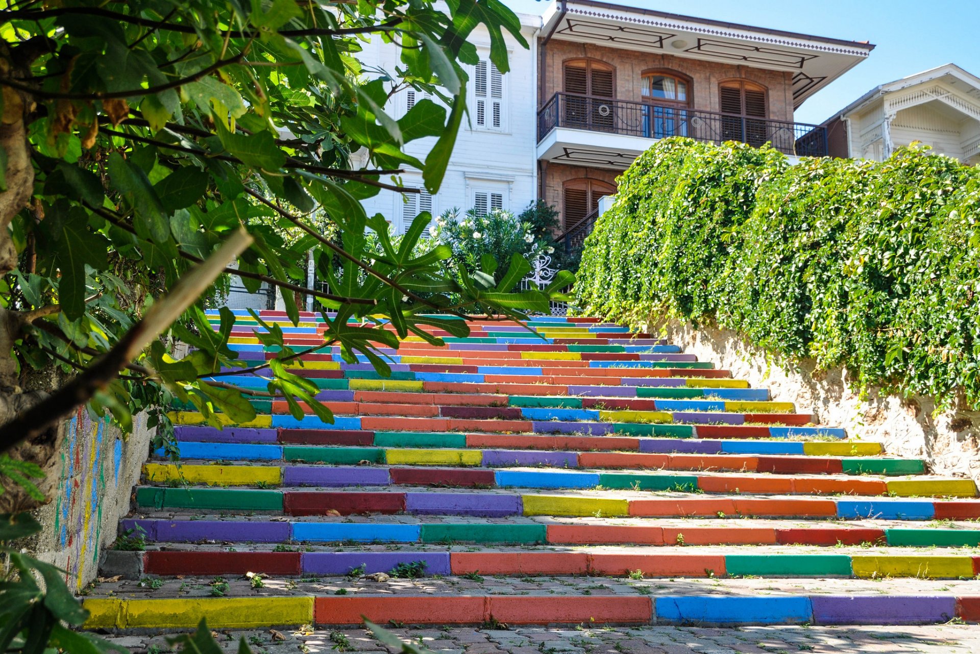 gradini vernice cortile casa alberi paesaggio